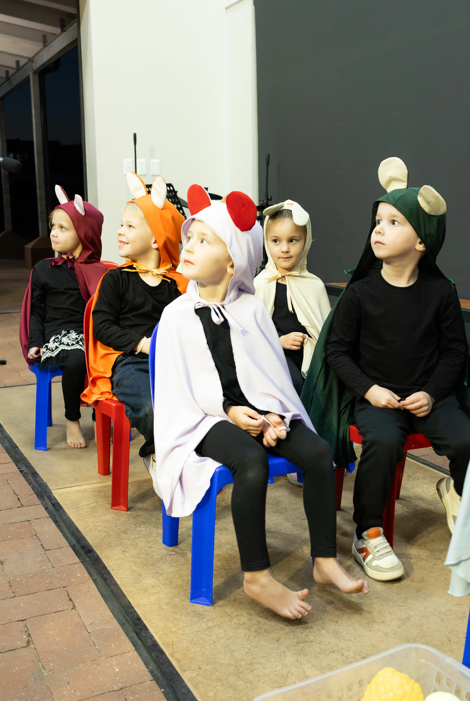 Cultural Evening webp
